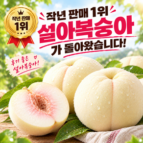 [작년매출1위] 산지직송 첫출하 초고당도 설아복숭아