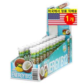 Zipfizz 집피즈 헬시 에너지 믹스 드링크 비타민12 함유 피나 콜라다 맛 20개입