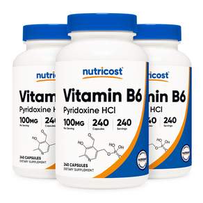 뉴트리코스트 비타민 B6 피리독신 HCl 100mg 240캡슐