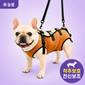 늘봄 노견 전신하네스 쿨매쉬소재 여름용 재활훈련 노령강아지 뒷다리보조 디스크보호가슴줄