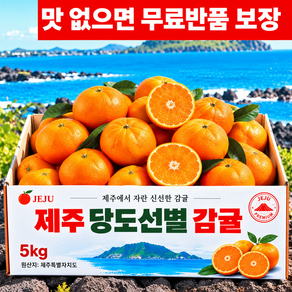 [마지막초특가] 산지직송 고당도 제주 감귤