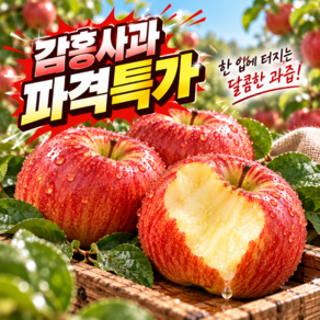 아삭달콤 제철 꿀당도 문경감홍사과