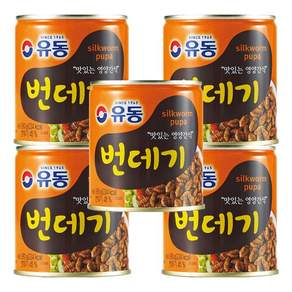 유동 번데기