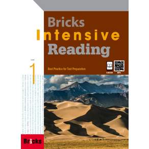 Bricks Intensive Reading