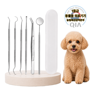 해이톡 덴탈픽 프로 6.0 반려동물 치석케어세트 6종+케이스