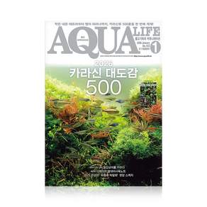 2026년 아쿠아라이프 1월호 [2026 카라신 대도감 500], 단품, 단품