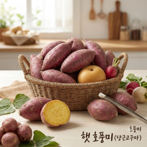 26년 햇 호풍미 김제 영암 호박고구마 당근고구마