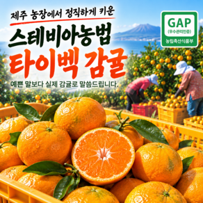 제주 GAP인증 스테비아농법 타이벡 감귤