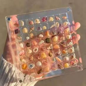 Unique Shell Display Holder Acrylic Presentation Box compatible with Traveler and Collectors