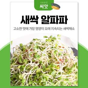 세경팜 알파파싹 30g 새싹 채소 씨앗