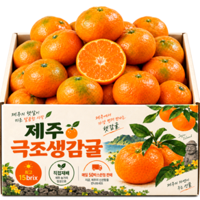 [50박스한정] 최고15brix 감귤 제주 극조생 당일재배