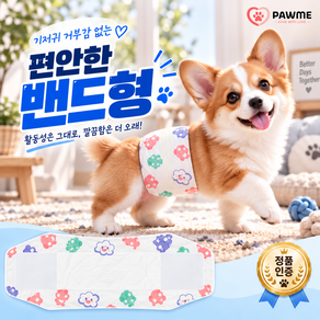 강아지 기저귀 거부감 없는 남아용 애견기저귀
