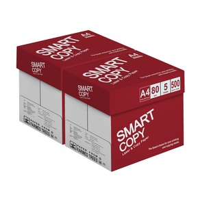 더블에이 스마트카피 80g A4 2박스 5000매