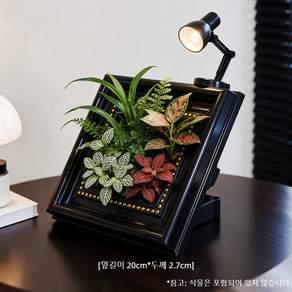 책상용 액자형 화분 꽃 화분 조경 화분 DIY 화분 액자화분 식물액자화분 책상화분(선물용 실내 장식용)