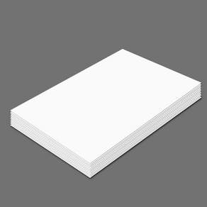 백색 켄트지 낱장 8절 220g