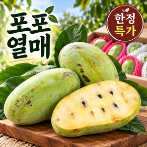 [품질보장] 영양만점 고당도 포포열매 포포 이색과일