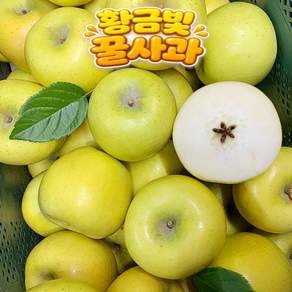 고당도 시나노골드 노란 황금 사과