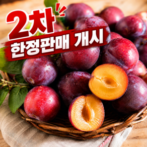 [1차예약완판] 유명농가 초특가 새콤달콤 푸룬자두