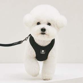 강아지 하네스 소형견 조끼형 가슴줄 편안한 착용감 산책용