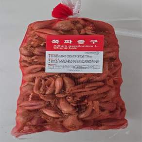 올해수확 국산 [쪽파씨앗 종구 1KG] 휴면타파 완료 파종용 쪽파씨