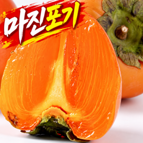 [제철특가]] 초고당도 대봉감 벌꿀맛 홍시