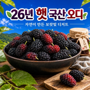 [선착순초특가] 산지직송 냉동 국산 오디