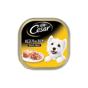 시저 애견간식 캔