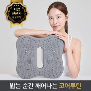 주니스 코어스텝 에어 지압 스텝퍼