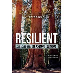 두란노 그리스도인의 초자연적 회복력