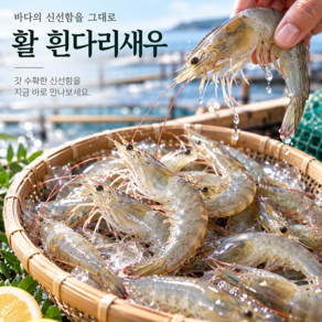국내산 제철 활 흰다리새우 생새우