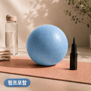 LIVINGFORE 필라테스 미니 짐볼 요가볼 미니볼