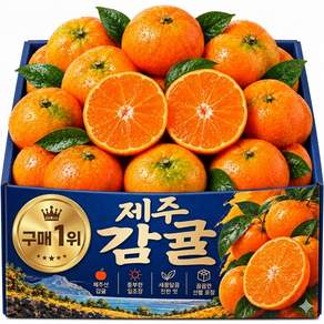 산지직송 고당도 제주 감귤 로얄과