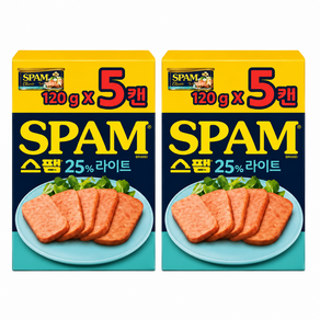 스팸 라이트 120g 10개