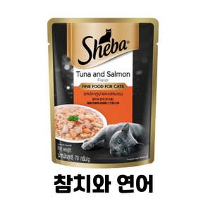 쉬바 1세이상 고양이 주식파우치