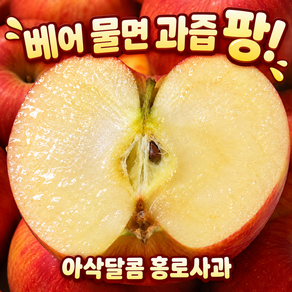 [지금이 제철] 햇 홍로사과 산지직송 국내산 햇사과