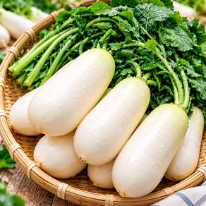 [초특가한정판매] 전라도 여수 절임 알타리무