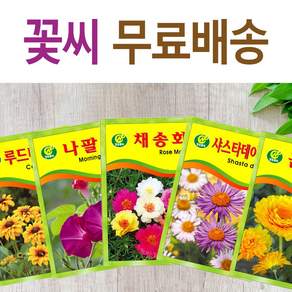 살아있는 꽃씨 야생화 키우기 다년생 채송화 다알리아 달맞이꽃 해바라기 맨드라미 봉선화 코스모스 메리골드 패랭이 접시꽃 사루비아 구절초 유채 백일홍 금잔화 꽃씨앗
