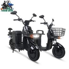AU테크 에코로 CITY D 48V 24A 40A 듀얼모터 2인용 가성비 입문용 전동스쿠터