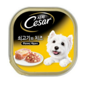 시저 생후 9개월 이상 강아지 주식캔