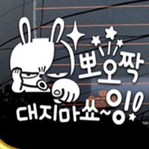 최고픽 초보운전 반사 자석 자동차스티커
