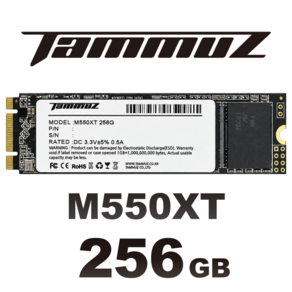 타무즈 SATA M.2 SSD