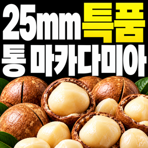 프리미엄 마카다미아 구매1위 껍질 까먹는 통 견과류