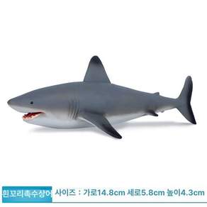 모형 화석 희귀 피규어 제품 고대 수집 물고기 동물 희귀동물 해양생물 수집품 실러캔스