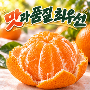 [1차완판] 고당도 제주감귤 로얄과(2S-S) 산지직송 노지감귤