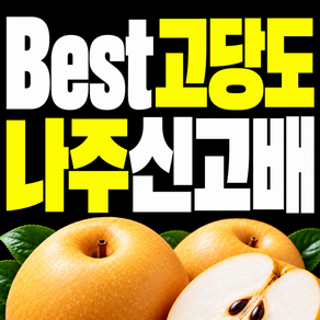 국산 신고배 추황배 고당도 나주배 구매1위 햇배