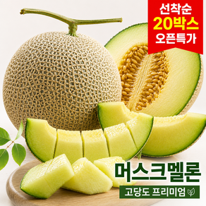 [단하루] 오픈특가 50박스 고당도 머스크멜론