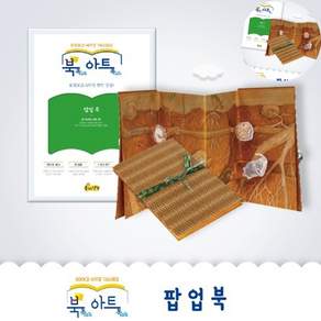 [픽랩] 팝업북