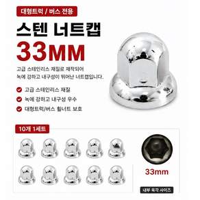 대성부품 10개 세트 트럭 너트캡 32mm 33mm 스테인리스 휠너트캡 휠캡 볼트캡 화물차 대형트럭 버스 덤프 현대 메가 트라고 엑시언트 뉴파워텍 차세대 볼보 스카니아 만 벤츠, 스텐너트캡33mm 10개