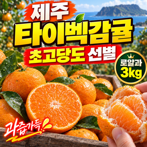[제주산지직송] 당도보장 타이벡감귤 새콤달콤 제주감귤