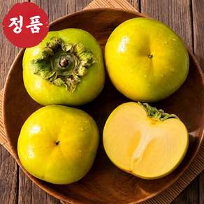 한정특가 산지직송 고당도 배단감 햇 태추단감